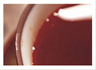 ddos攻击防御手段